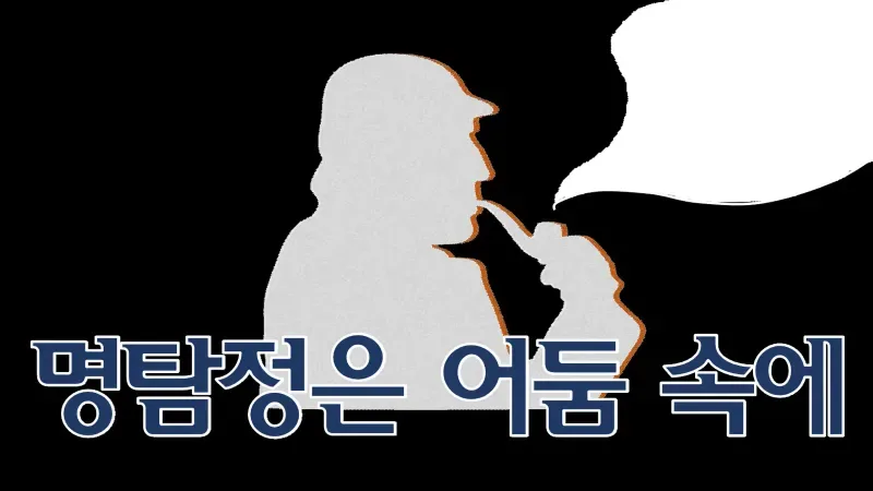 명탐정은 어둠 속에 표지