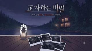 교차하는 비밀 표지